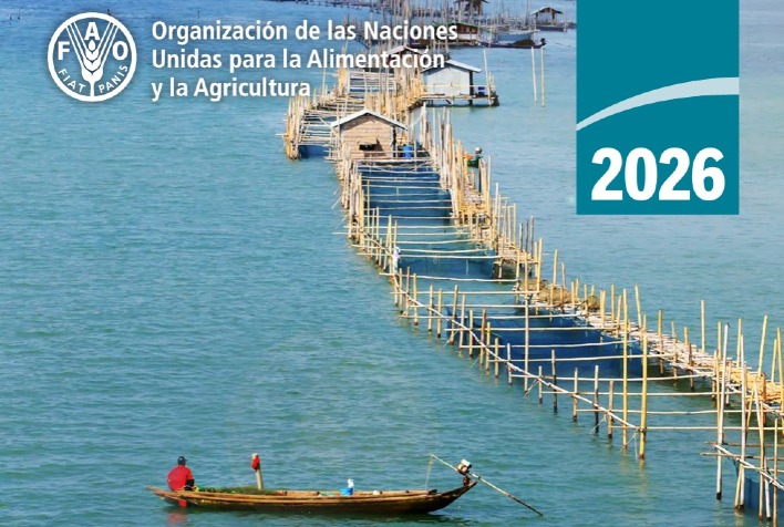América Latina e Caribe alcançam superávit de US$ 21 bilhões em comércio aquícola em 2024