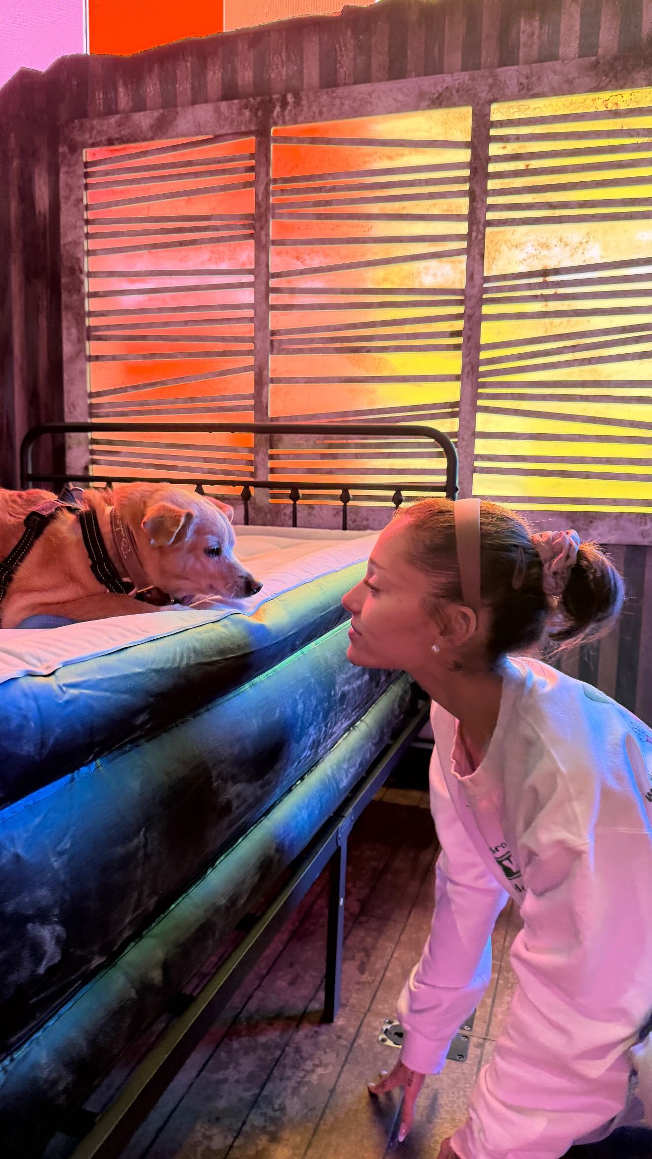 Ariana Grande homenageia cãozinho Toulouse em seu 13º aniversário com declaração emocionante