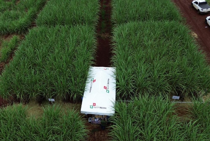 Bioestímulo e controle de pragas se destacam na Feira Copercana 2026 em Sertãozinho