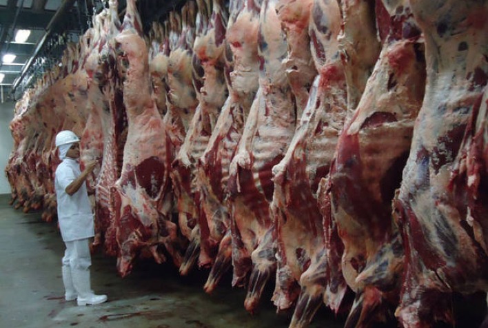 Brasil abate 10,29 milhões de bovinos no 1º trimestre, com fêmeas em 49,9%