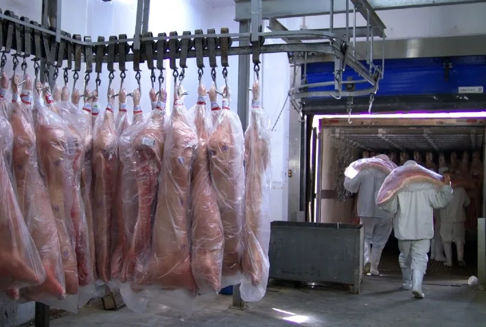 Brasil se torna o terceiro maior exportador mundial de carne suína, superando o Canadá