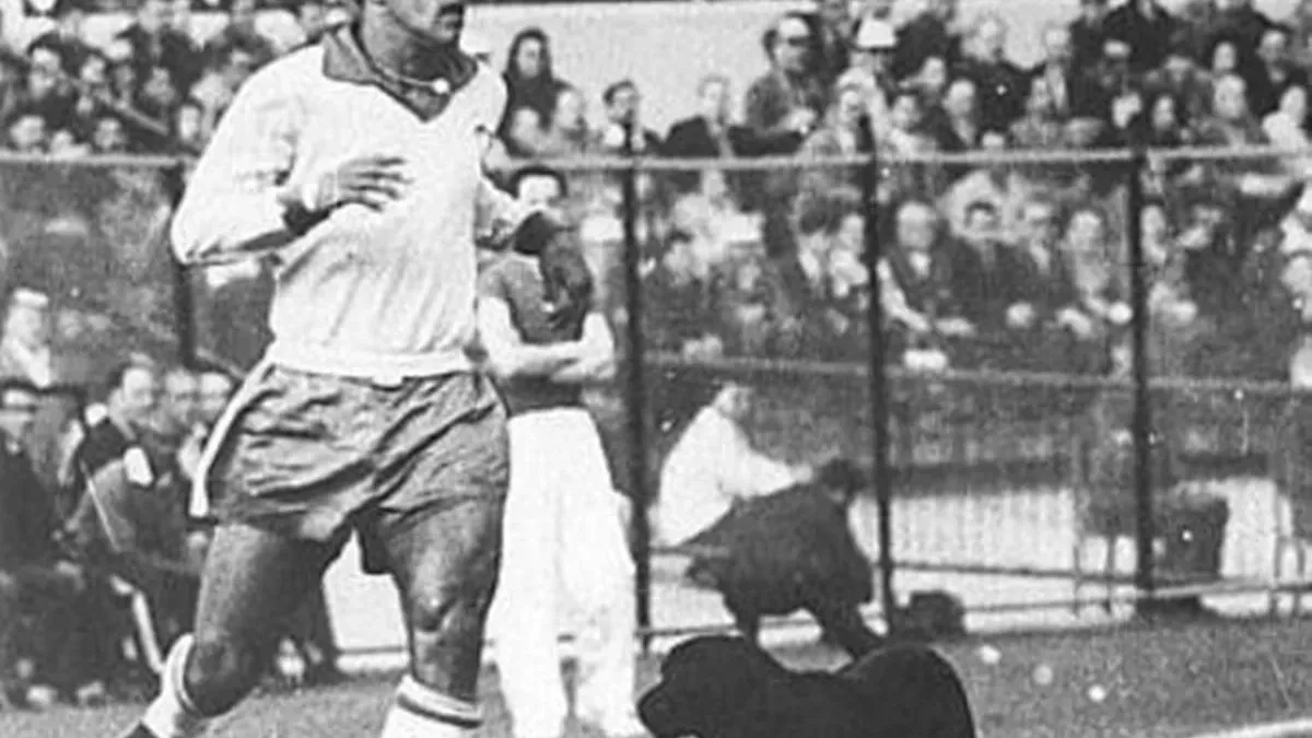 Cachorro invade jogo da Copa de 1962 e dribla até Garrincha em campo