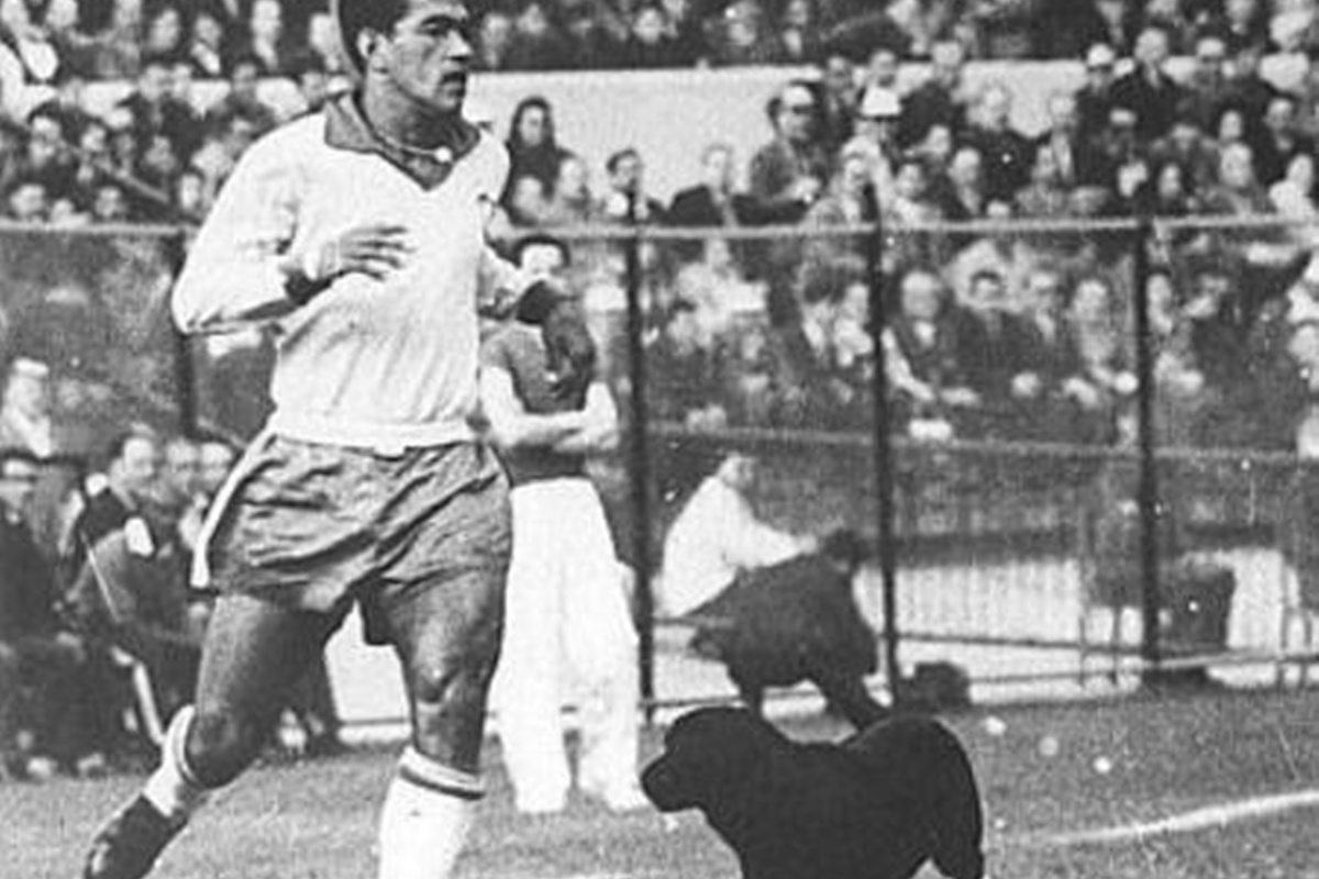 Cachorro invade jogo da Copa de 1962 e dribla até Garrincha em campo