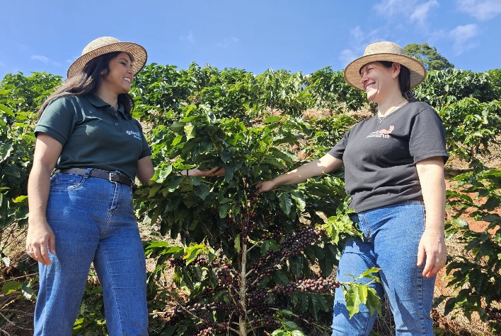 Cafés especiais elevam renda da agricultura familiar em Minas Gerais e fortalecem marcas locais