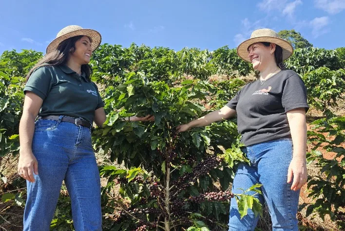 Cafés especiais elevam renda da agricultura familiar em Minas Gerais e fortalecem marcas locais