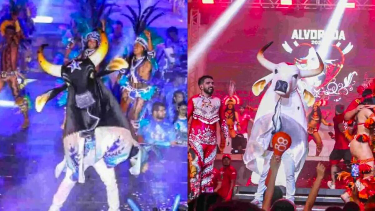 Caprichoso e Garantido iniciam disputa da 59ª edição do Festival de Parintins
