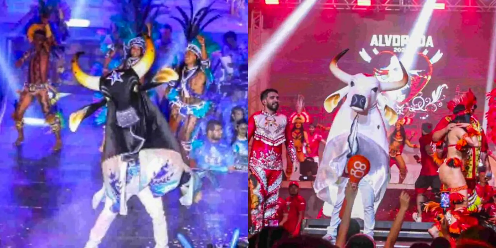 Caprichoso e Garantido iniciam disputa da 59ª edição do Festival de Parintins