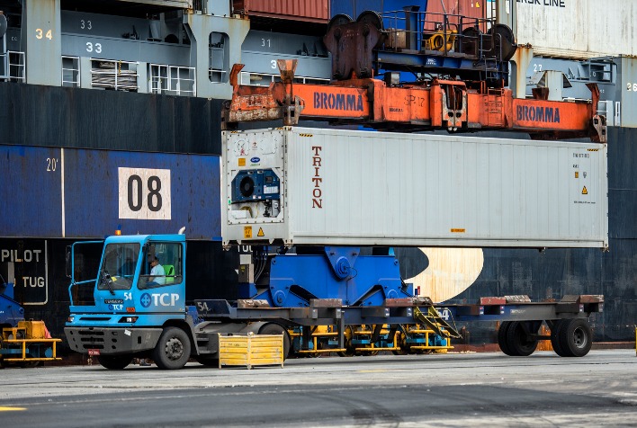 China se torna o 3º maior exportador de frango e desafia avicultura brasileira