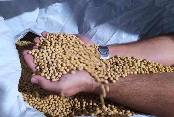 Comercialização de sementes é destaque na Febrasem 2026 em Rondonópolis (MT)