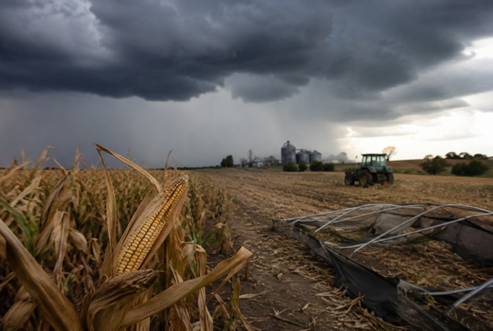 Corte de R$ 461,7 milhões no seguro rural gera alerta sobre riscos no agro
