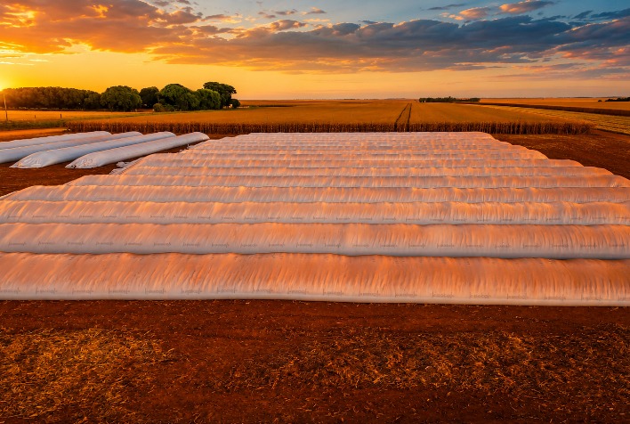 Déficit de armazenagem em Mato Grosso leva produtores a adotarem silo bolsa