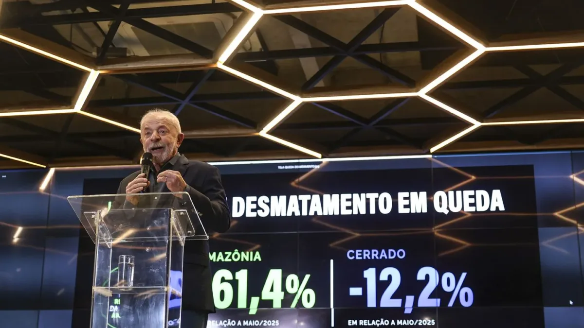 Desmatamento na Amazônia cai 61,4% em maio de 2026, maior redução já registrada