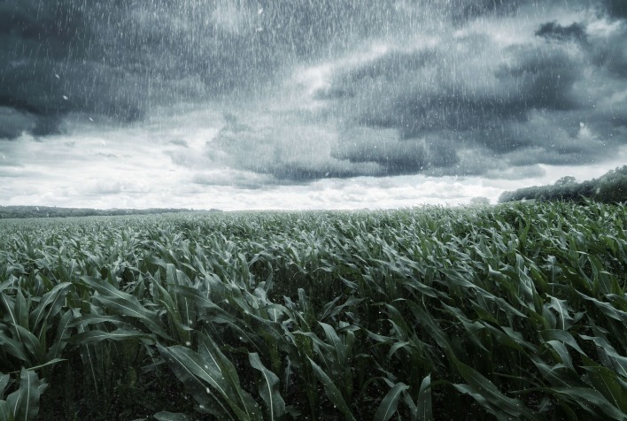 El Niño 2026/27 pode aumentar riscos para soja, milho e café no Brasil