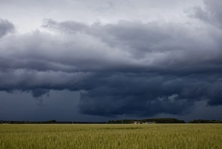 El Niño pode reduzir qualidade do trigo na safra 2026/27 no Brasil, alerta relatório