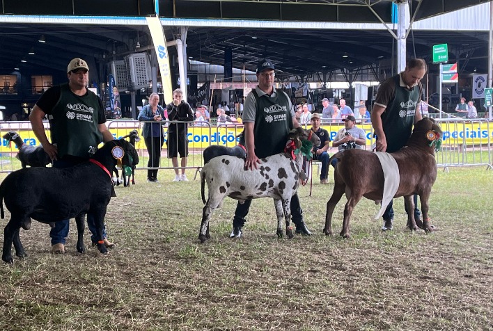 Expointer 2026 exige DNA para ovinos e abre inscrições até 27 de julho