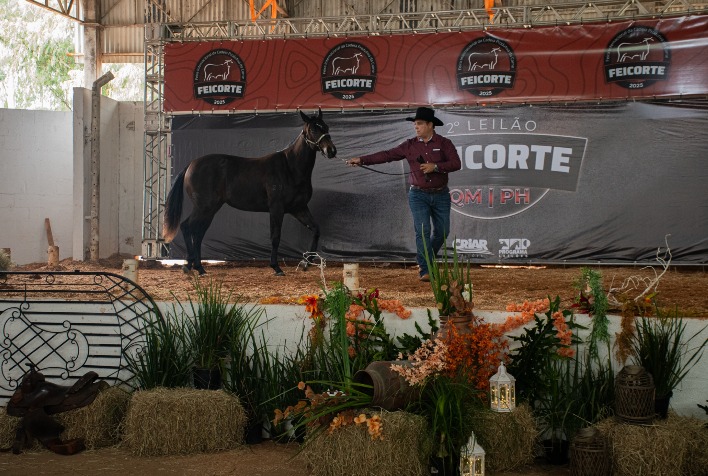 Feicorte 2026 destaca leilões de genética e ações solidárias no agronegócio