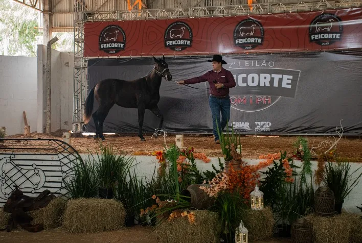 Feicorte 2026 destaca leilões de genética e ações solidárias no agronegócio