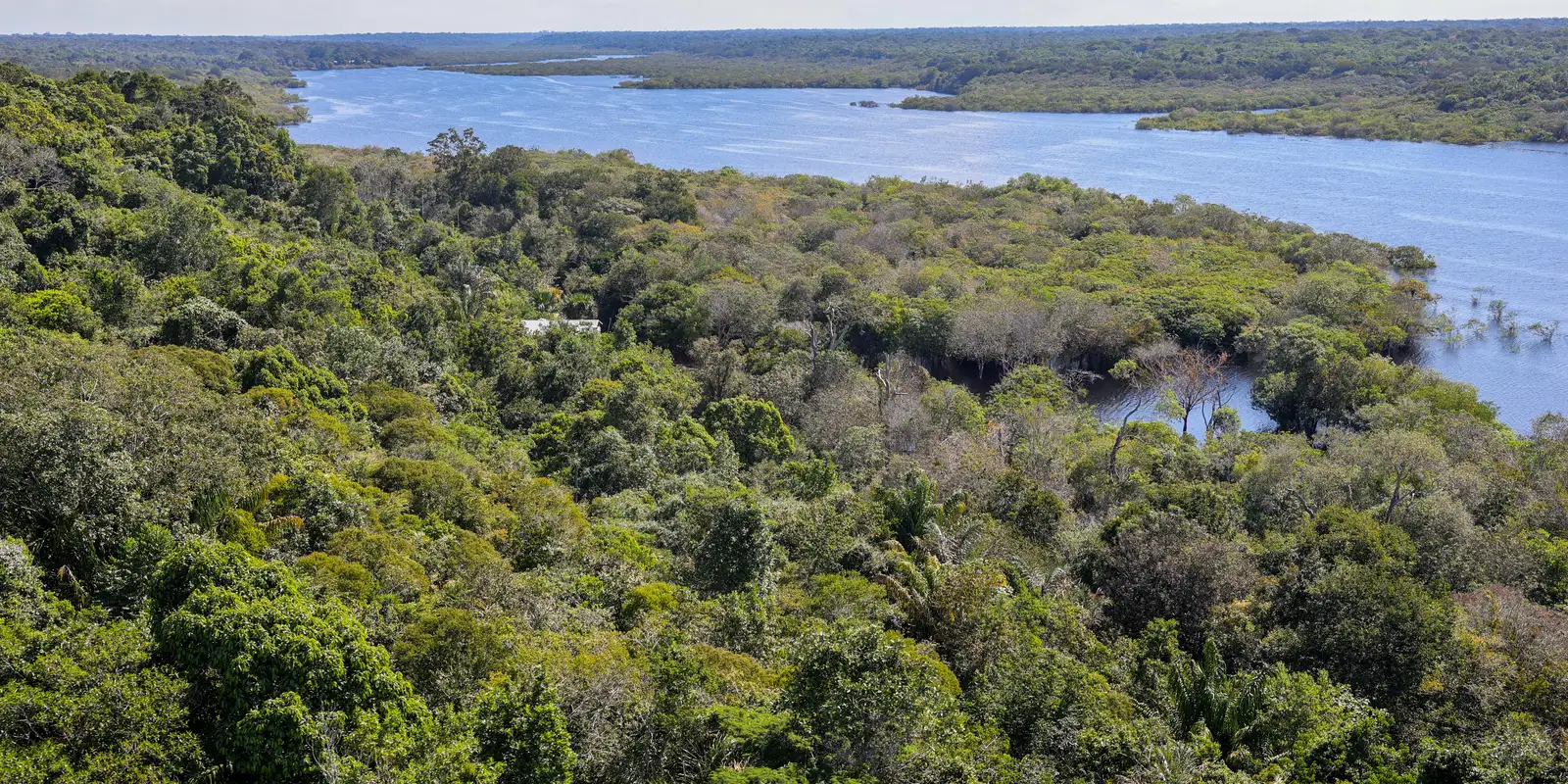 Fundo Amazônia quadruplica aprovações de projetos e atinge R$ 1,3 bilhão em 2023