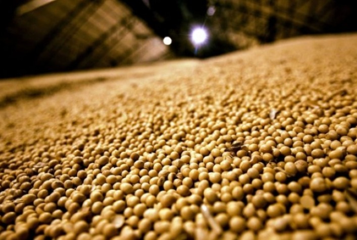 Futuro do agro brasileiro exige qualificação profissional e inovação, afirma Grupo J2M