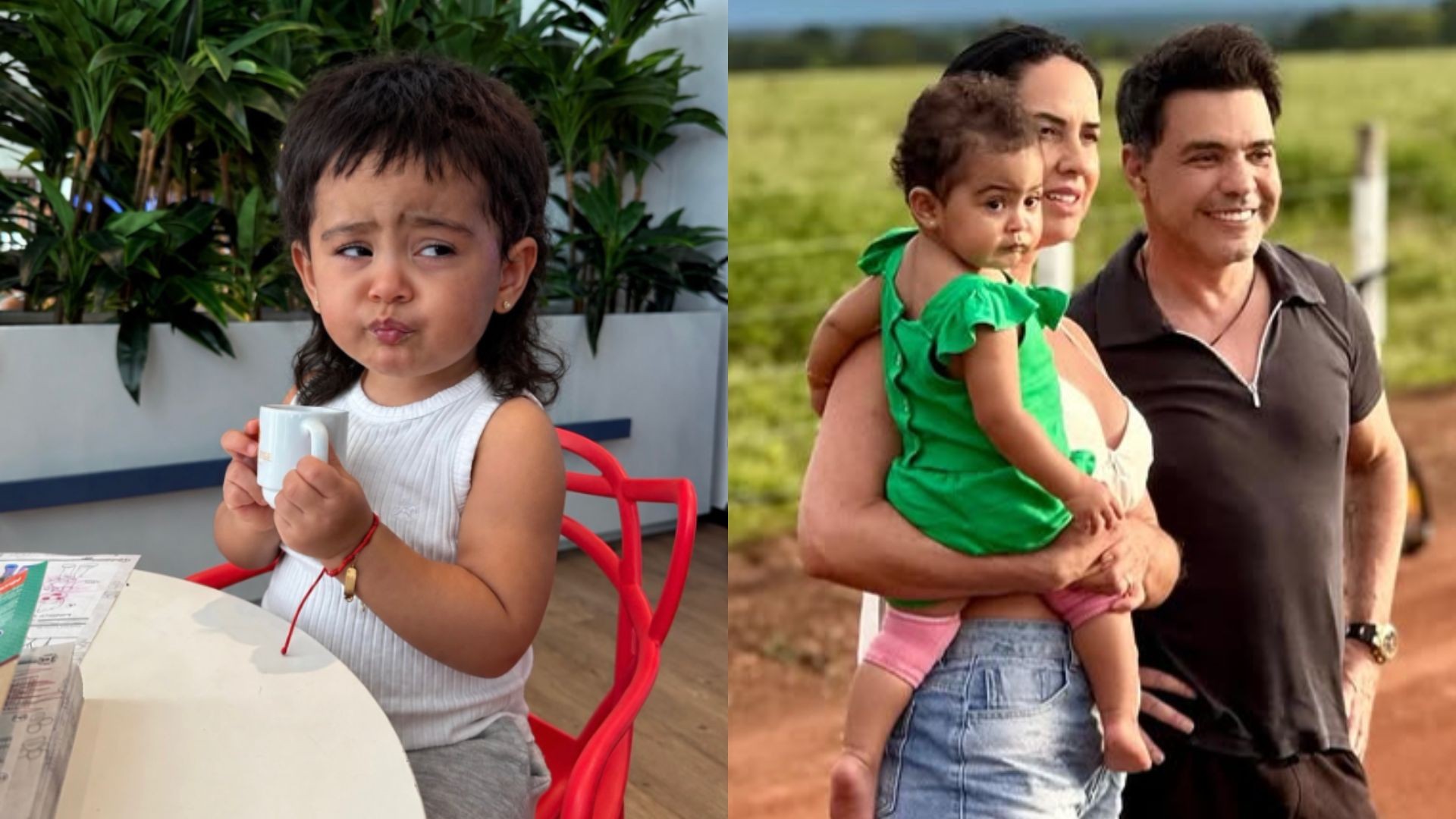 Graciele Lacerda compartilha montagem divertida da filha Clara com cabelo de Zezé Di Camargo
