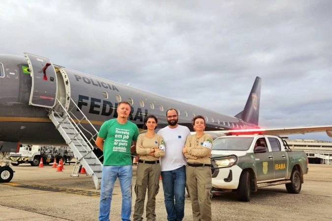 Ibama e PF repatriam 17 micos-leões-dourados e 12 araras-azuis do Togo