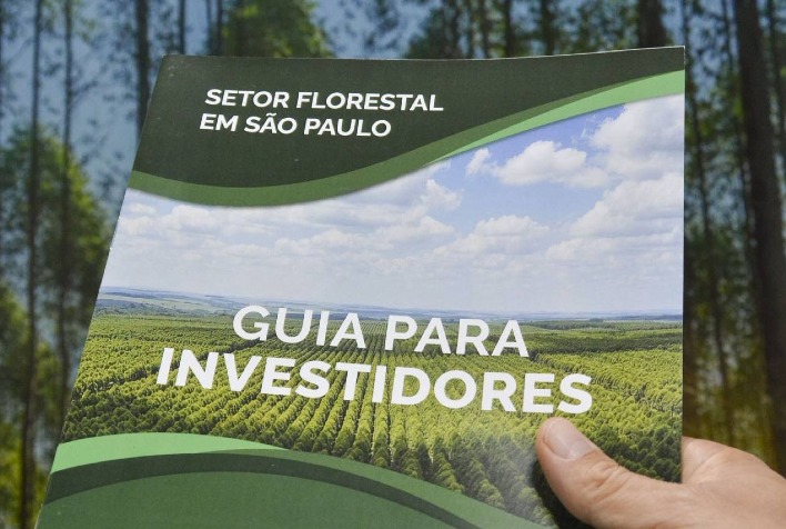 InvestSP e Florestar lançam guia para atrair investimentos no setor florestal paulista