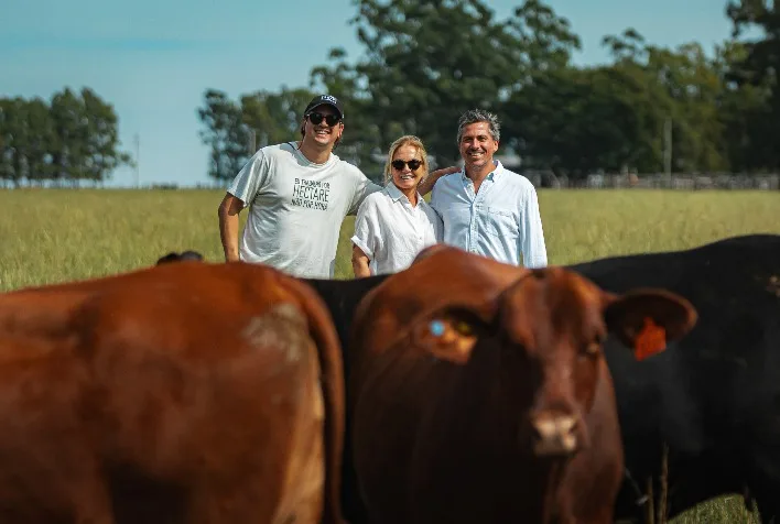 Liquidação da Cabanha Rincon del Sarandy fatura R$ 21,85 milhões em leilão histórico