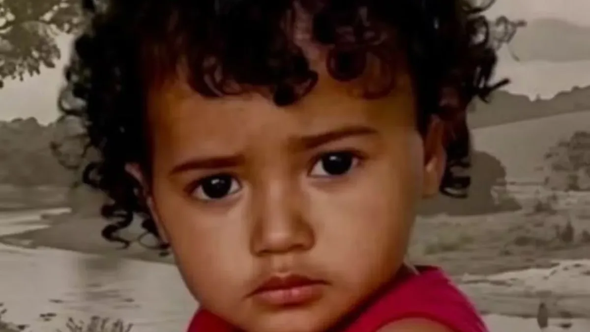 Menina de 1 ano e 11 meses desaparece em fazenda de Goiás; buscas estão em andamento