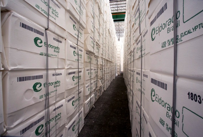 Mercado global de celulose deve se recuperar até 2026 com cortes de produção, aponta Rabobank
