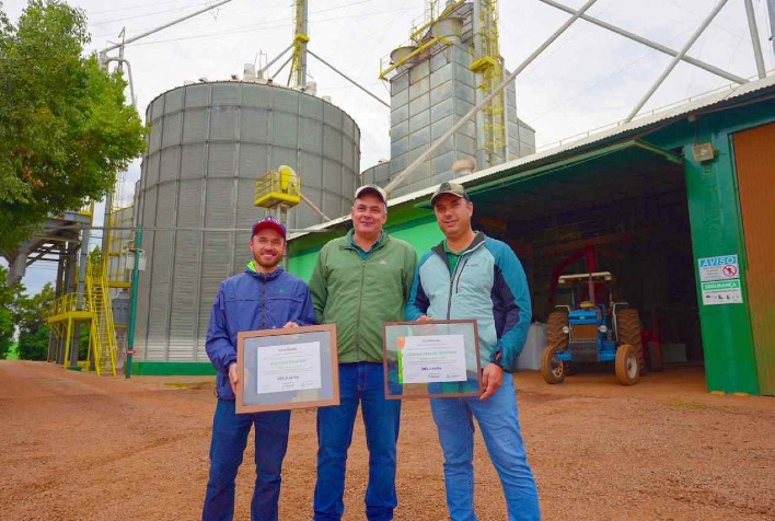 Milho brasileiro atinge recorde de 369 sacas por hectare em concurso nacional