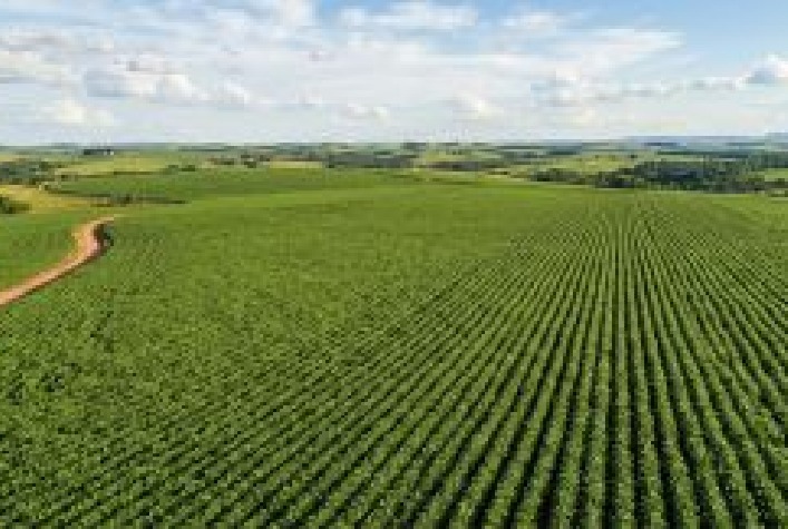 Monitoramento via satélite será obrigatório para exportações do agronegócio brasileiro
