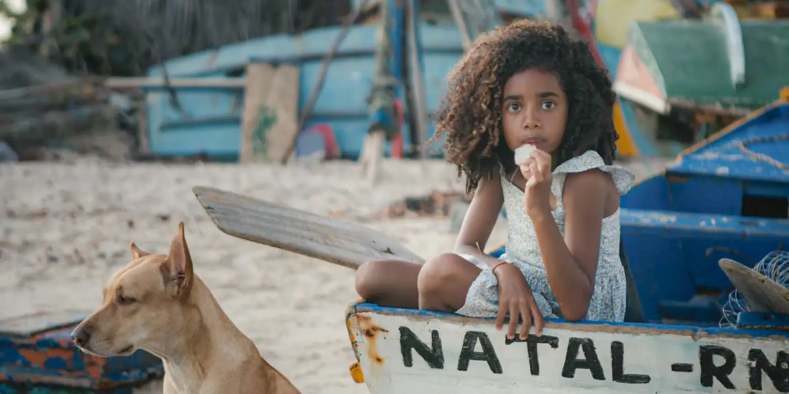Mostras de cinema no Maranhão e RN celebram diversidade LGBTQIAPN+ em agosto