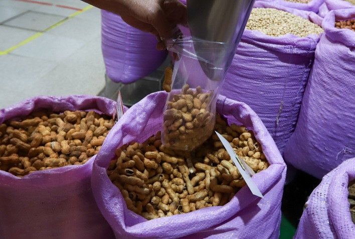 Paraná se destaca como terceiro maior exportador de carne de peru e prevê safra recorde de amendoim