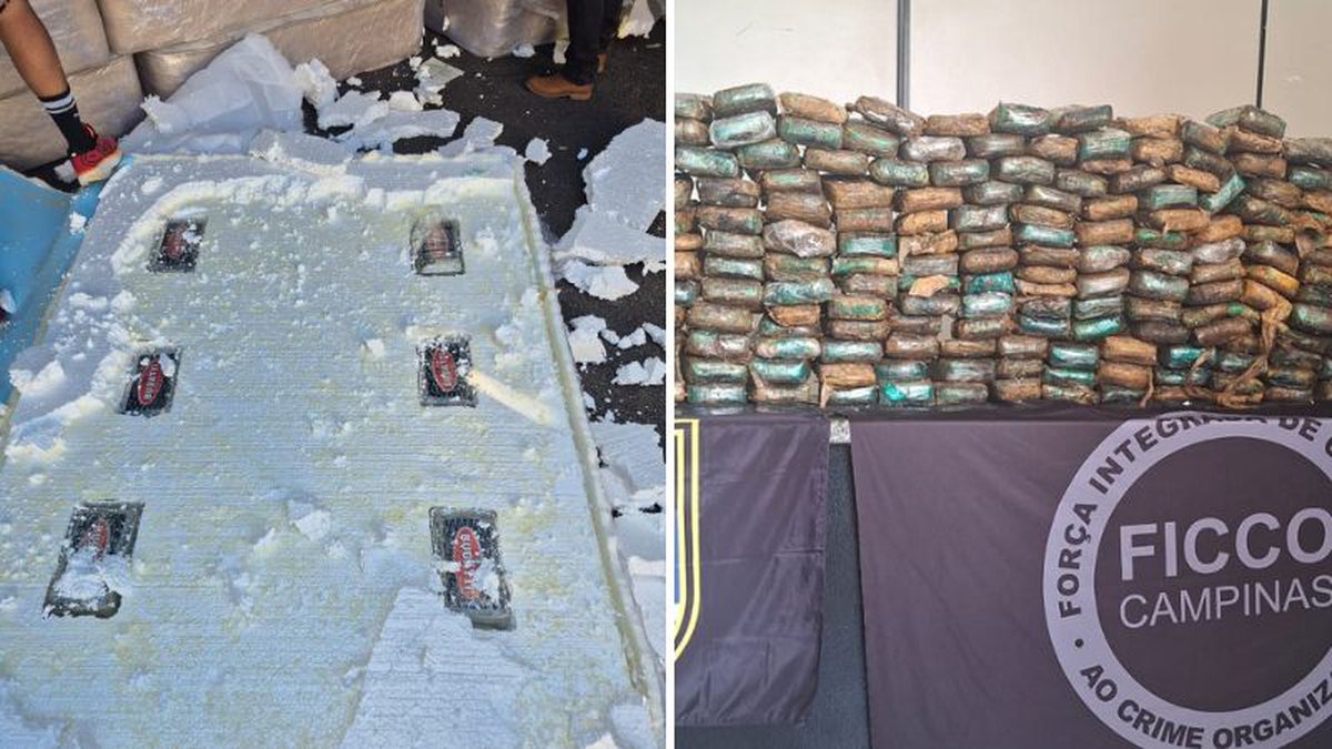 Polícia Militar apreende 245 tijolos de cocaína e causa prejuízo de R$ 7,5 milhões ao tráfico em SP