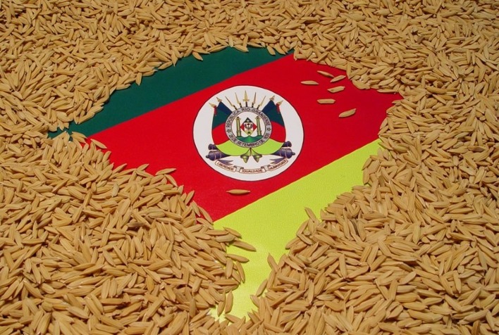 Preço do arroz cai no Rio Grande do Sul com oferta elevada e demanda fraca