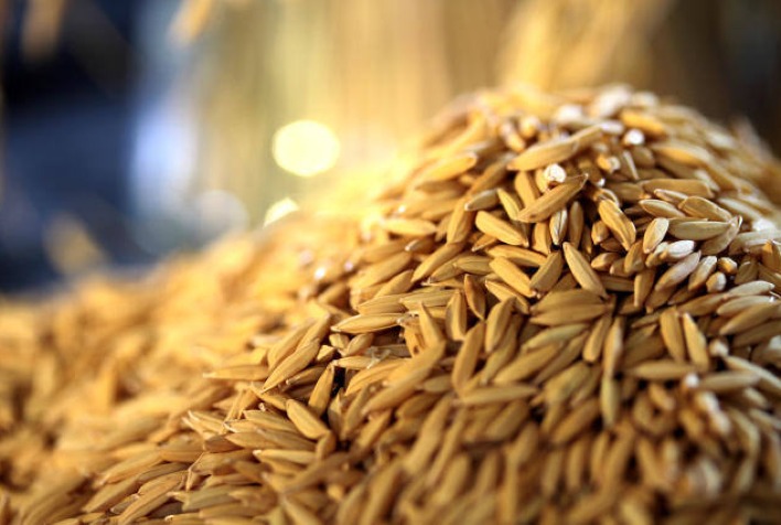 Preço do arroz sobe no Rio Grande do Sul com aumento das exportações e dólar forte