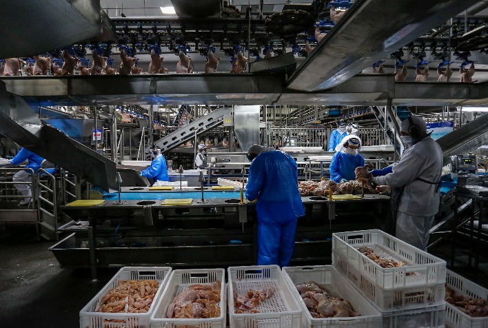 Preços do frango se mantêm estáveis no Brasil enquanto exportações crescem