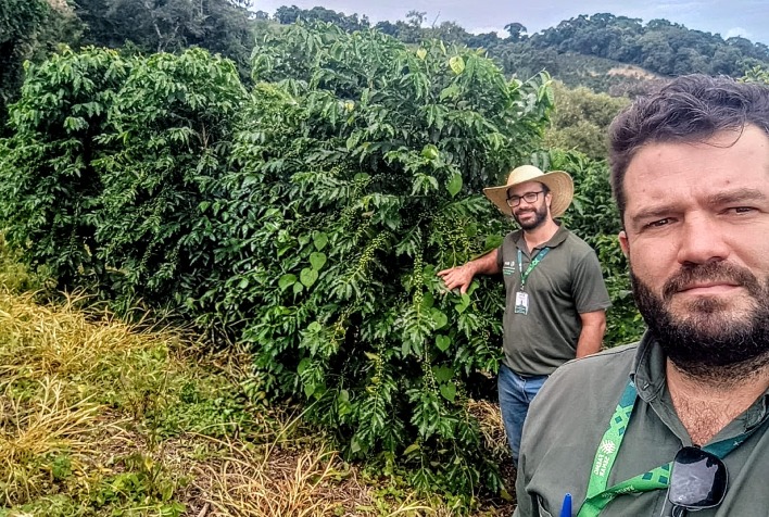 Produção de café em Baependi cresce 114% com apoio da ATeG e supera média nacional