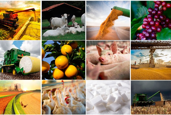 Rabobank projeta margens pressionadas e recordes de produção no AgroInfo 2026