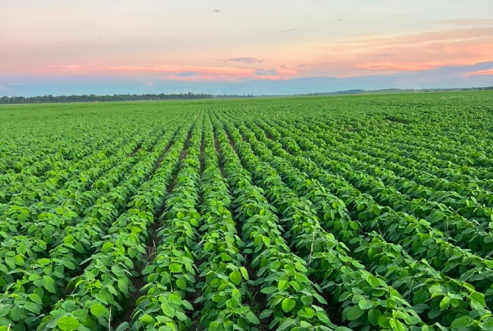 Rastreabilidade no Agro: Exigência Global ou Barreiras Comerciais?