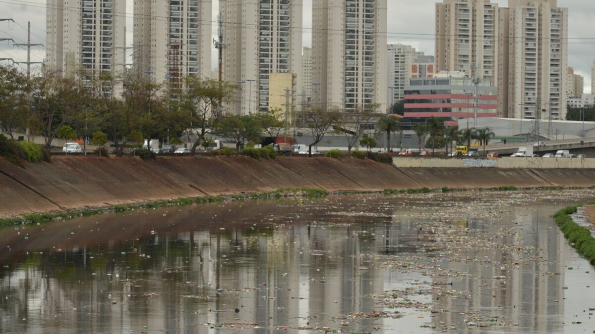 Rio Tietê apresenta contaminação em toda sua extensão, revela SOS Mata Atlântica