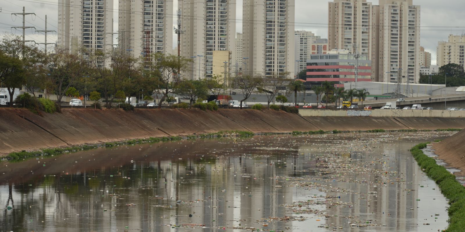 Rio Tietê apresenta contaminação em toda sua extensão, revela SOS Mata Atlântica