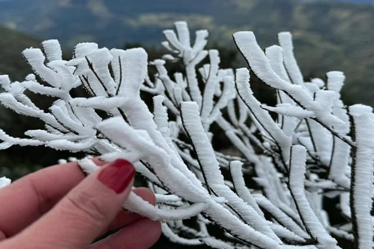 Santa Catarina registra -7,3°C, a menor temperatura do Brasil em 2023