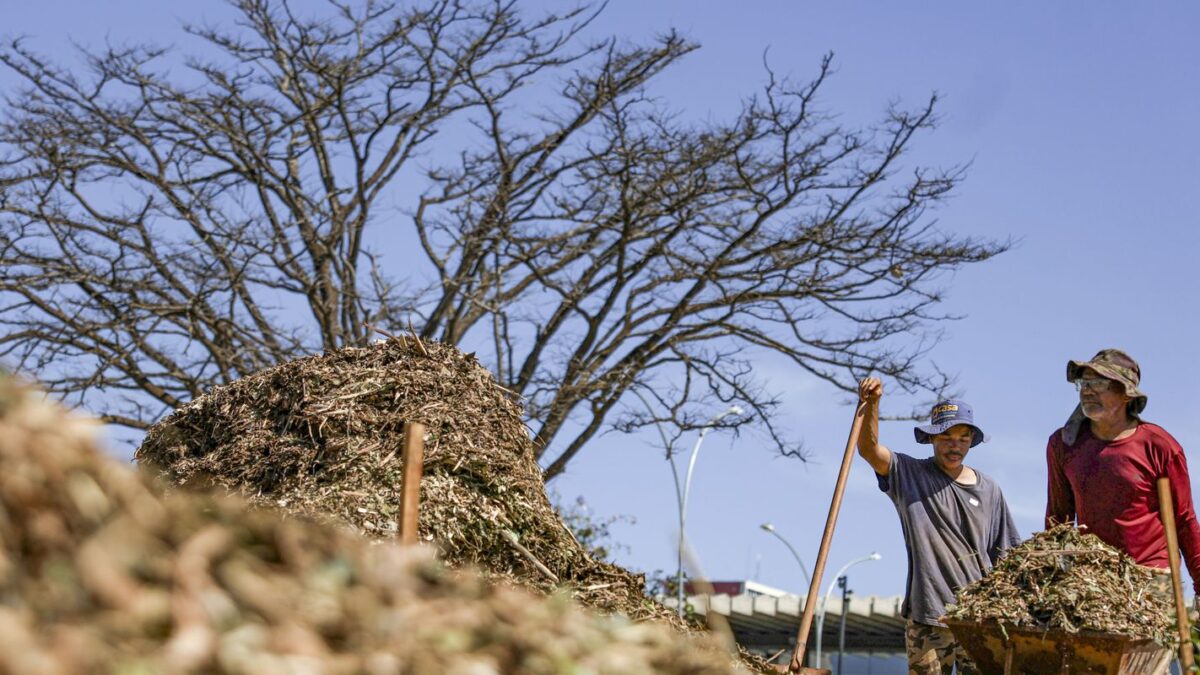 Sesi Lab inaugura sistemas agroecológicos com 340 mudas em Brasília