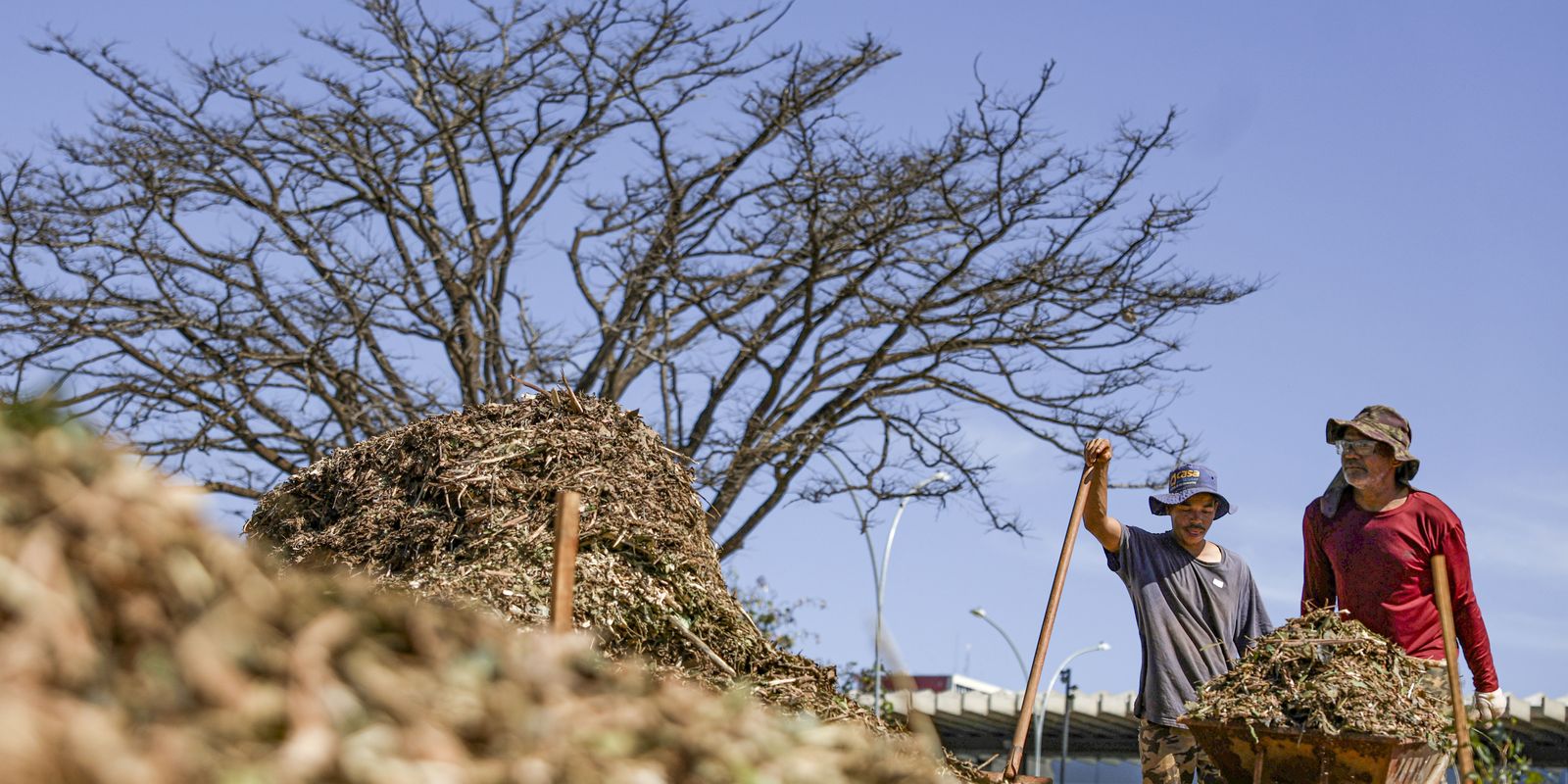 Sesi Lab inaugura sistemas agroecológicos com 340 mudas em Brasília