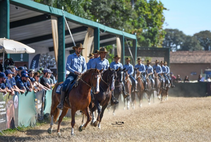 Tatuí (SP) sedia a 48ª Exposição Nacional do Cavalo Mangalarga em julho de 2026