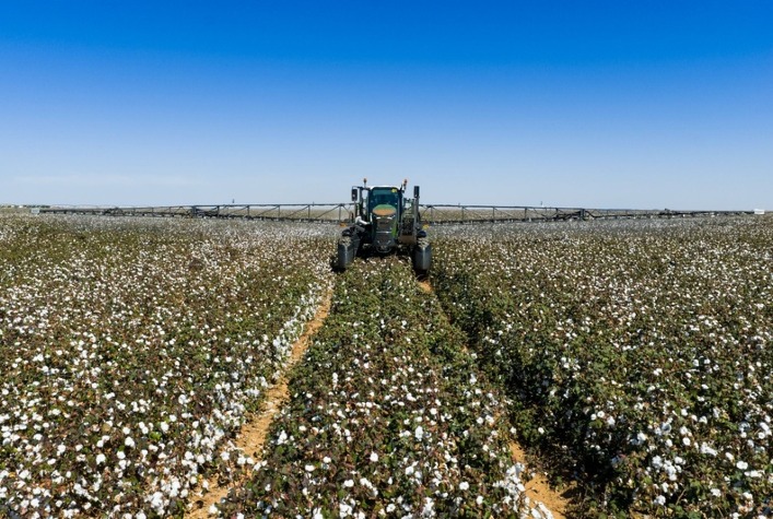 Tecnologia agrícola no Brasil garante qualidade do algodão e impacta moda global