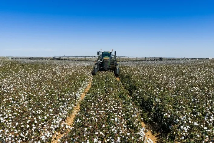 Tecnologia agrícola no Brasil garante qualidade do algodão e impacta moda global
