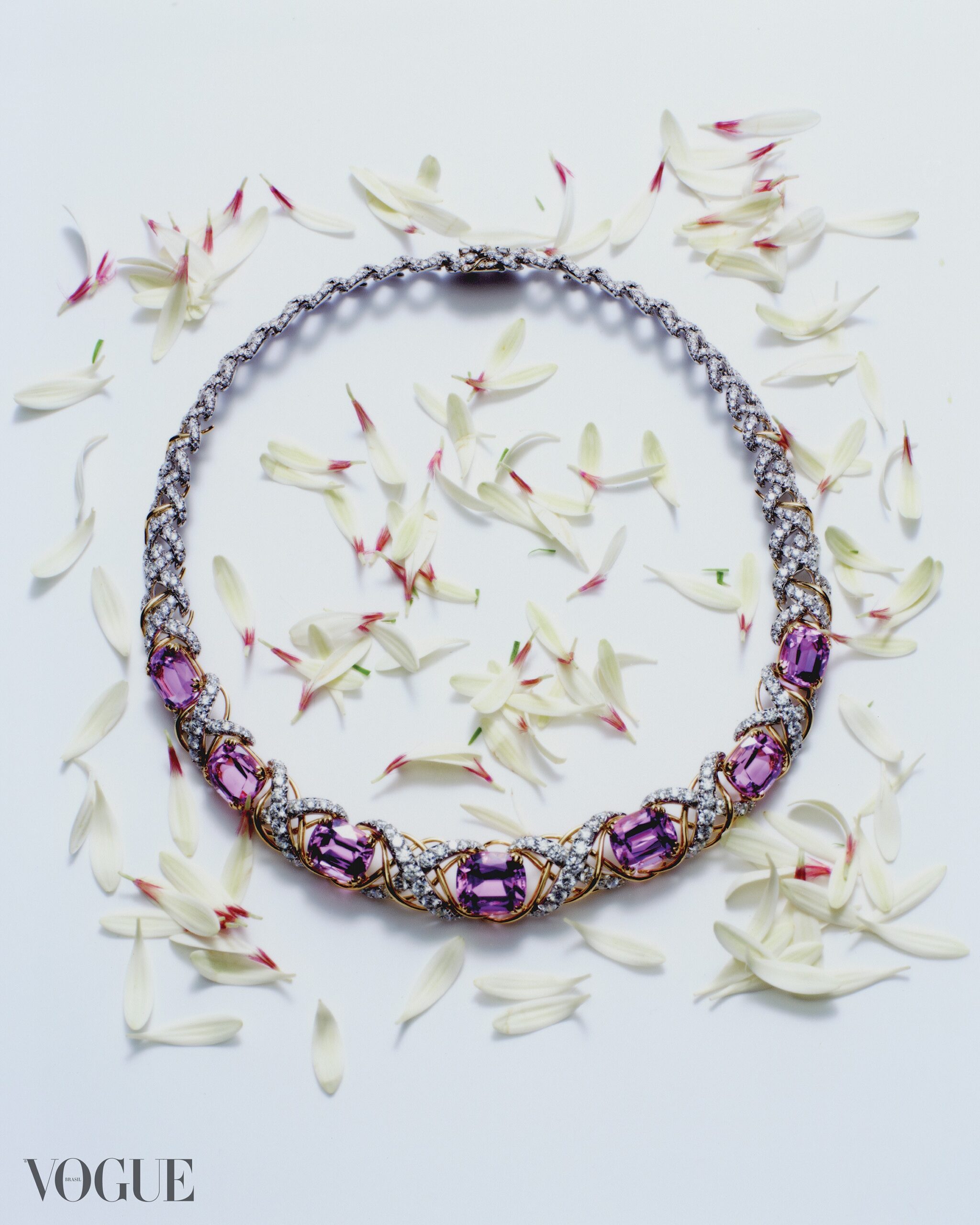 Tiffany & Co. lança coleção 'Hidden Garden' inspirada na amizade de Schlumberger e Mellon