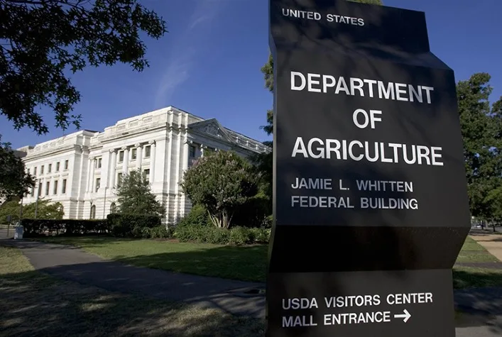 USDA mantém projeções de soja e milho, mas eleva estoques globais de grãos